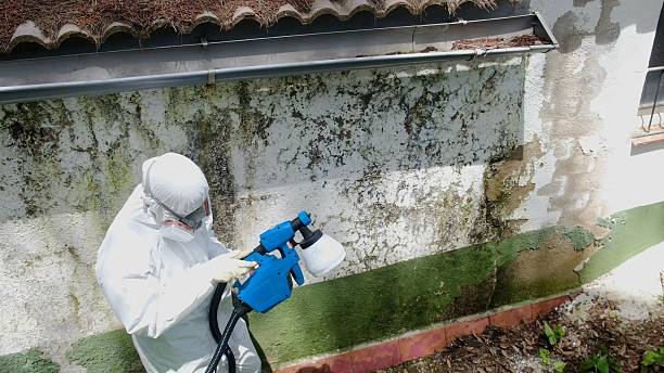 Trusted Mold Inspection service in Warren, PA - Cheap Mold Removal